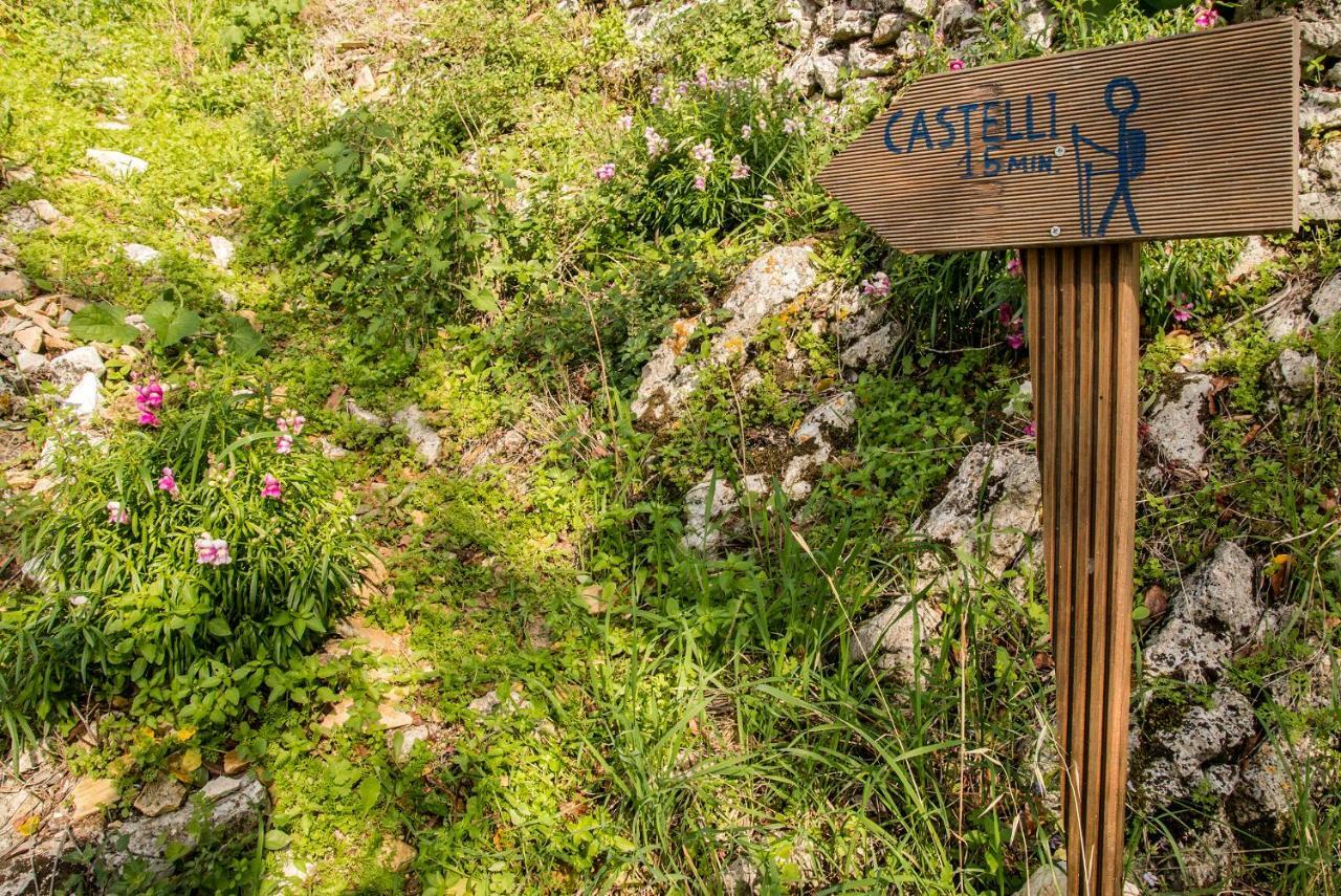 Castelli Olive Press Guest House Acharavi  Exterior photo