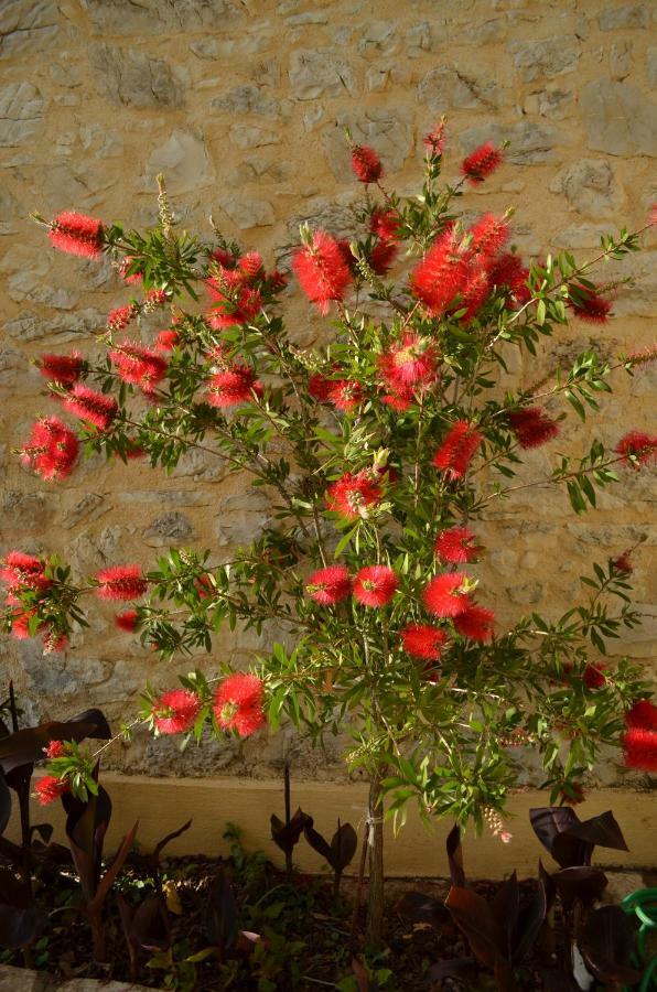 Castelli Olive Press Guest House Acharavi  Exterior photo